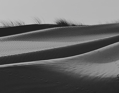 Shifting Sand Dunes