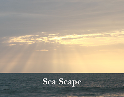 Sea Scape