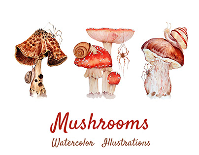 Mushroom Watercolor Illustrations | Hand-Drawn Art