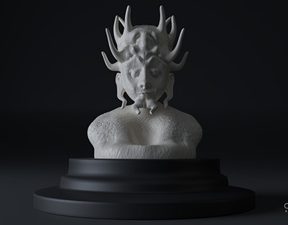 Project thumbnail - old stachy sculptures