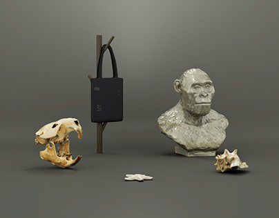 THE STATE DARWIN MUSEUM | Branding concept