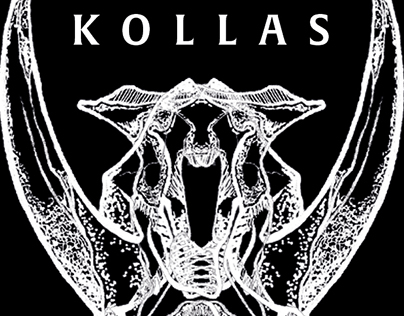 Pueblo Originario Kollas