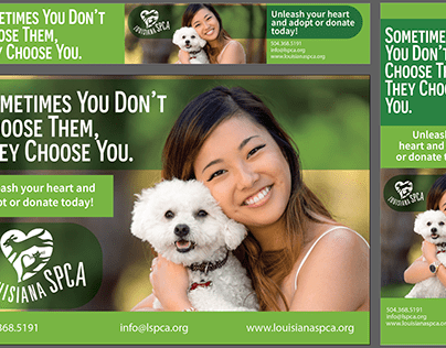 Animal Adoption Agency & Laundry Detergent Ads