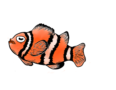Percula ClownFish