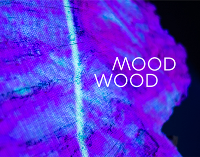 Mood Wood — videomapping