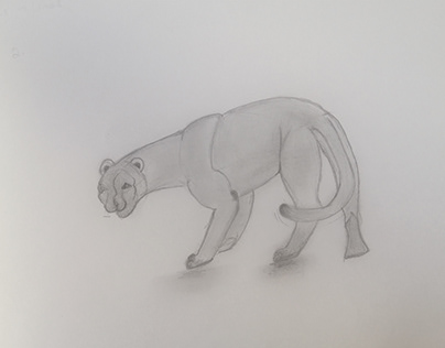 animal drawing with organic forms