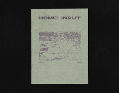 Home: Input // Zine-book