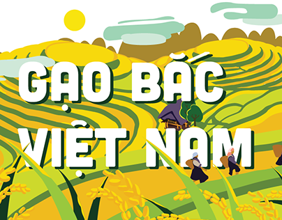 Gạo Bắc Việt Nam - North Rice in Vietnam