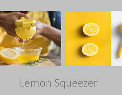 Lemon Squeezer