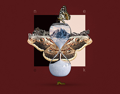 Nek – album cover restyling (school exercise)