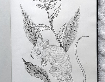 The Jerboa and Lungwort