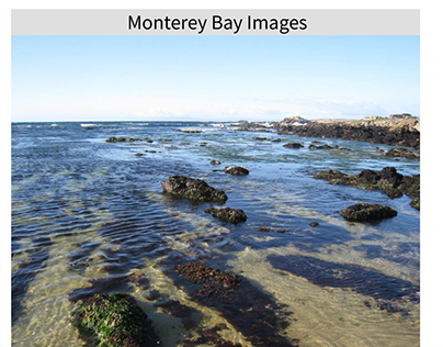 Monterey Bay Images