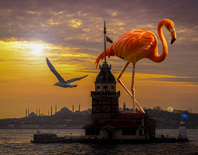 istanbul maiden tower flamingo