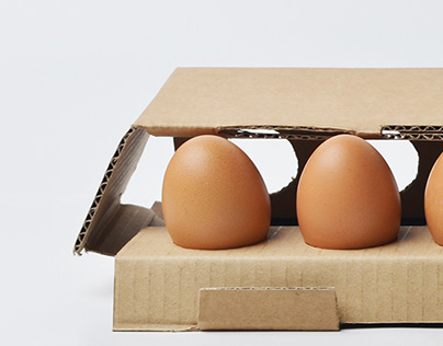 Student work: Packaging Design for Eggs