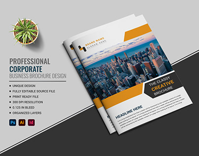 Professional Business Brochure/Booklet Design Template
