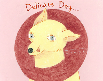 delicate dog