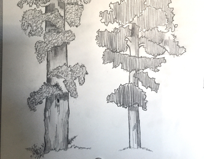 Practising on drawing trees