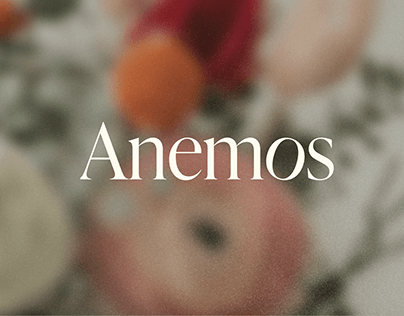 Project thumbnail - ANEMOS. LOGO DESIGN