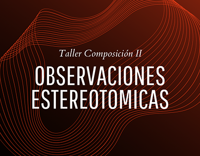 CB_Taller Composición II_Observaciones Estereotomicas