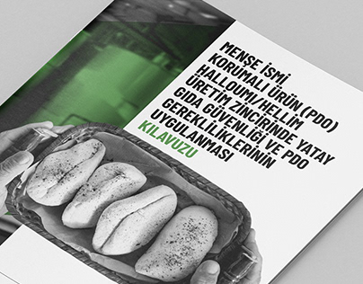 Booklet Designs for EU Food Safety Project
