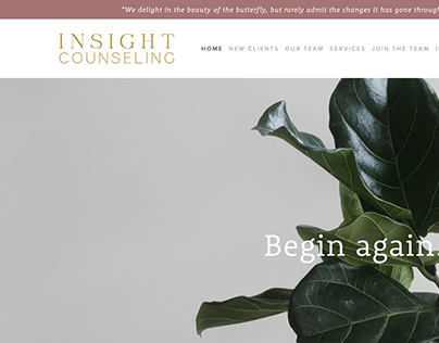 Insight Counseling