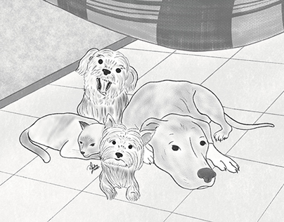 Pets | Illustration Commissions