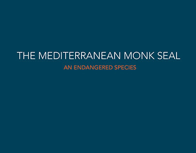 Mediterranean Monk Seal Booklet