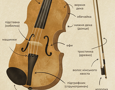 Violin illustration