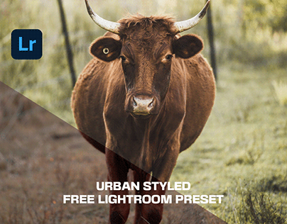 Urban Styled Free Lightroom Preset - Mobile & Desktop