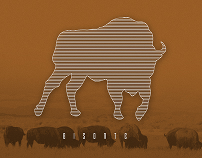 Bisonte - Logo and Brand Identity