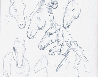Horses-study