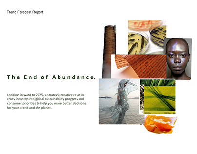 The End of Abundance - Trend Forecast Report