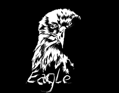 Eagle - series black and white Animals