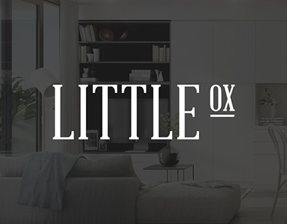 Little Ox Branding & Website