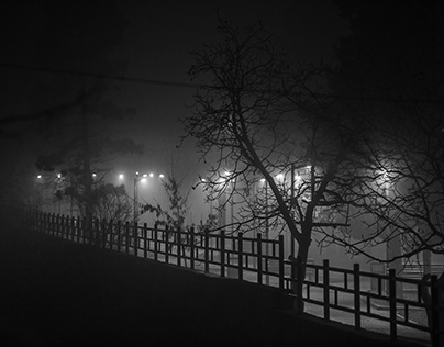 night fog
