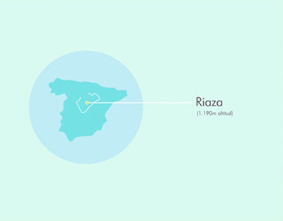 Infografía Villa de Riaza - Motion graphics