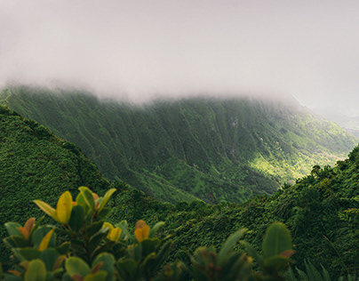 The Beauty of Hawaii - Chapter I: O'AHU
