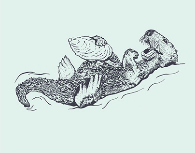 Project thumbnail - Sea Otter Illustration