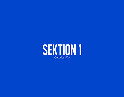 SEKTION 1 | Identity & store concept design