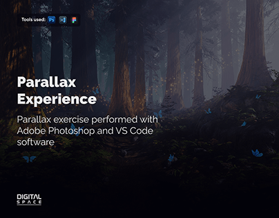 Parallax Experience