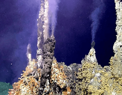 Hydrothermal Vents as a Renewable Energy Source