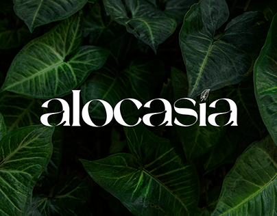 Alocasia Logo Design & Brand Identity