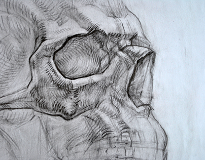 Skull. Hand drawing / Череп. Графитный карандаш