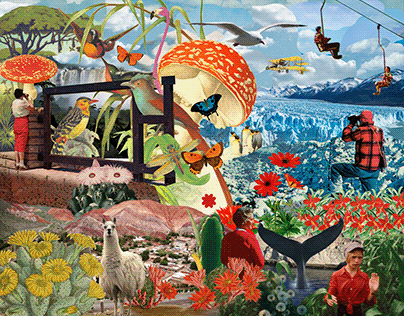 Digital Collage on Wall