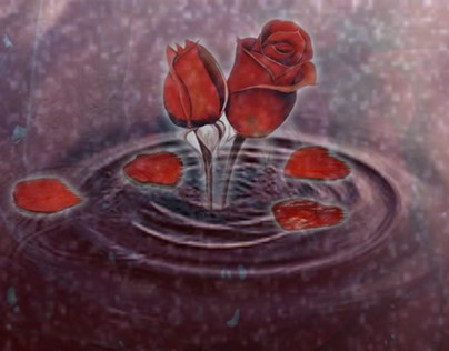 Raining Rose Petals