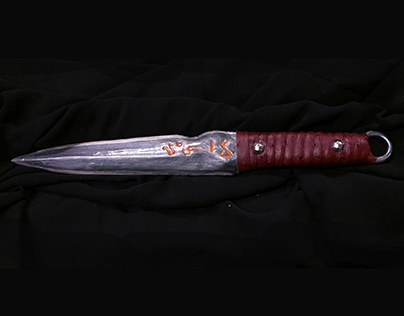 Assassin's Knife