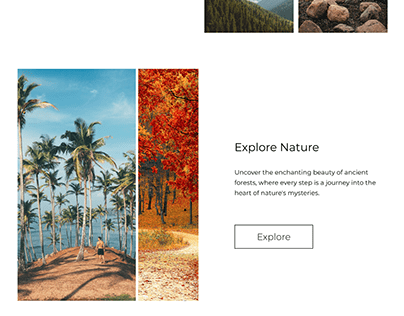 EcoExplore Home Page Design