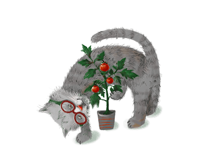 Illustration for kindergarten: cat and tomatoes.