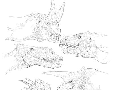 Dragon designs sketches