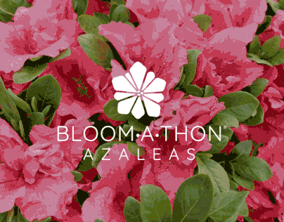 Project thumbnail - Bloom-A-Thon® Azaleas Brand Identity
